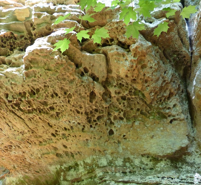 Honeycomb rock